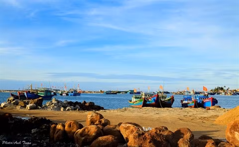 Le port de pêche de Ly Son au petit matin.
