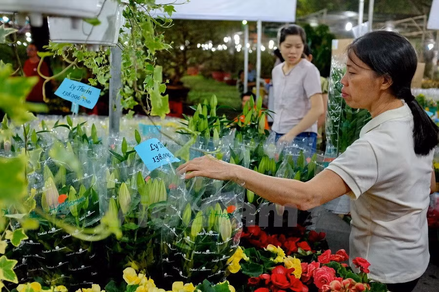 La foire 2017 comprend 500 stands de fleurs et de plantes d’agrément, outre 200 autres de gastronomie, de calligraphie, de jeux, etc. 