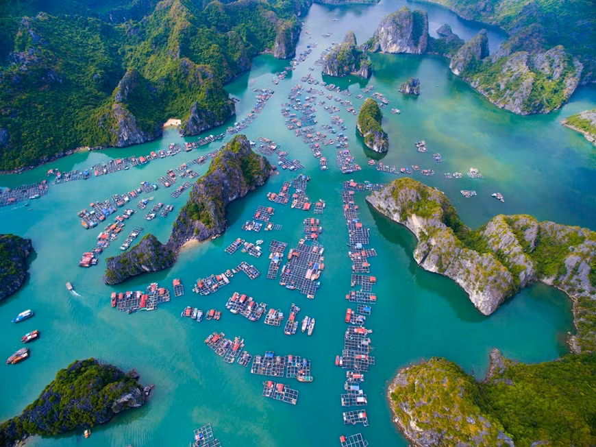 Située à l’Est de l’archipel de Cat Bà, en périphérie de la ville de Hai Phong, la baie de Lan Ha est un petit paradis pour tous les touristes avides de quiétude et de nature spectaculaire. Photo : VNA