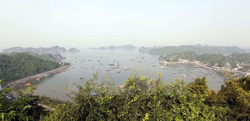 Le bourg de Cat Ba vu d'en haut. 