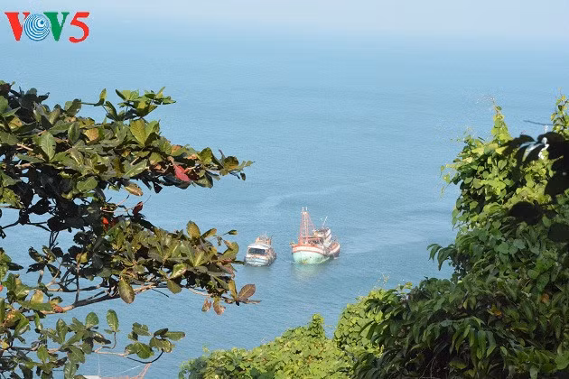 Les paysages pittoresques ​de l’îlot « Chuoi » dans la province de Ca Mau séduisent les visiteurs.