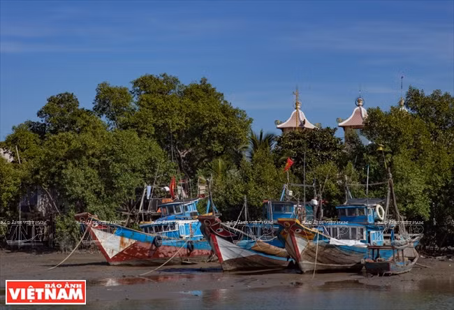 Partis du centre de Hô Chi Minh-Ville, nous sommes allés au port de Cân Thanh pour prendre le bateau vers la commune de Thanh An. Prix du billet: 10.000 dongs. On compte cinq allers-retours par jour. La traversée dure 40 minutes. Entourée de mangrove et de brise-lames, Thanh An s’étend sur 131 km². C’était autrefois une porte d’entrée de l’ancien Saïgon – Gia Dinh. Peuplée de 5.000 habitants, elle se compose de trois hameaux: Thanh Hoà, Thanh Binh et Thiêng Liêng. Les habitants vivent de la pêche, de la saliculture et de l’ostréiculture. 
