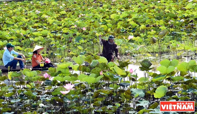 Touristes pêchant à Dong Sen.