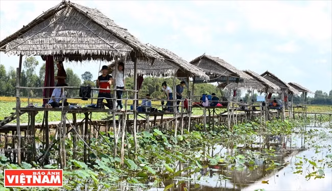 Dong Sen Go Thap attire de nombreux touristes.
