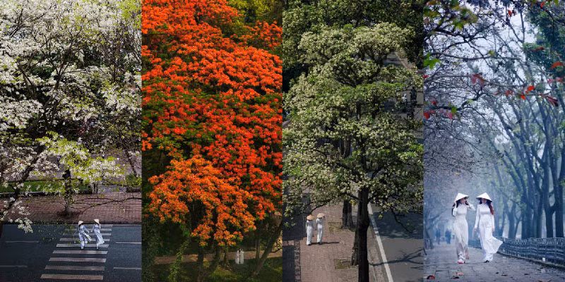 "Printemps – Été – Automne – Hiver"