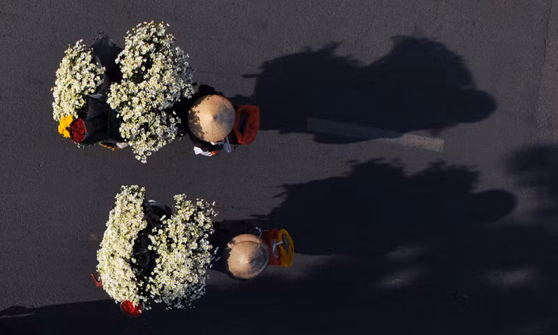  ''Fleurs des saisons''