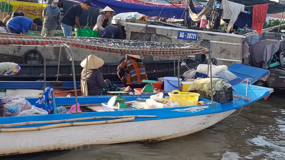 En 2016, le marché flottant de Cai Rang a été reconnu par le ministère de la Culture, des Sports et du Tourisme comme patrimoine culturel immatériel national. Cet endroit est une destination intéressante pour ceux qui aiment explorer la culture de la région du delta du Mékong. Développement durable oblige, tous les programmes de préservation et de valorisation du marché flottant de Cai Rang doivent garantir l'équilibre des intérêts entre les commerçants, les agriculteurs, les touristes et l'État. Si donc toutes les initiatives sont les bienvenues, il faut s'assurer que le marché ne perde ni son authenticité ni son charme unique. En 2019, le Magazine Rough Guide (Royaume-Uni) a élu le marché flottant de Cai Rang comme l'un des 10 marchés les plus impressionnants au monde, décrivant une caractéristique particulièrement sophistiquée comme les bateaux de vente "tropicaux colorés". Photo: VietnamPlus