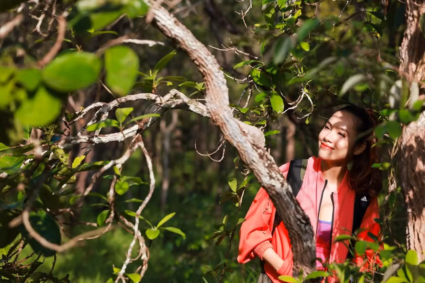 Le parc national de Lo Go - Xa Mat est un lieu de conservation de nombreux arbres, plantes médicinales, oiseaux, mammifères et espèces de poissons rares.