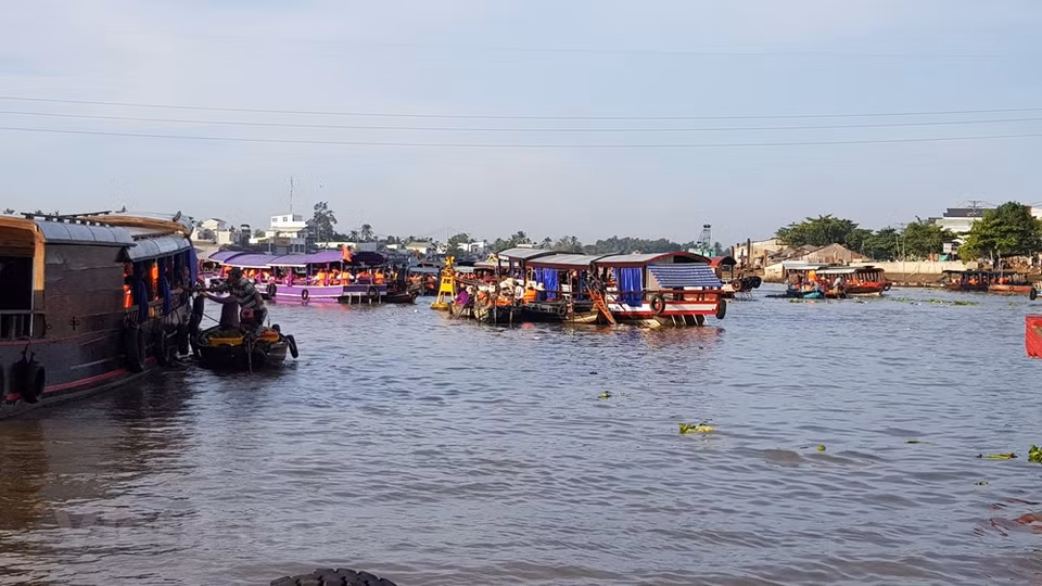 Cai Rang est l'un des trois marchés flottants les plus importants du delta du Mékong. Il est principalement un marché de fruits et de légumes mais on y trouve aussi toutes sortes de marchandises et spécialités du delta du Mékong. Les commerçants arrivent dès 5h du matin et repartent vers 9h. Chaque jour, il accueille des centaines de petites embarcations regorgeant de toutes sortes de nourritures et de divers produits. Ici, les vendeurs n'ont pas besoin de crier pour vendre leurs produits, il leur suffit de les accrocher sur une perche plantée sur la proue ou sur la poupe de leur canot. Photo: VietnamPlus