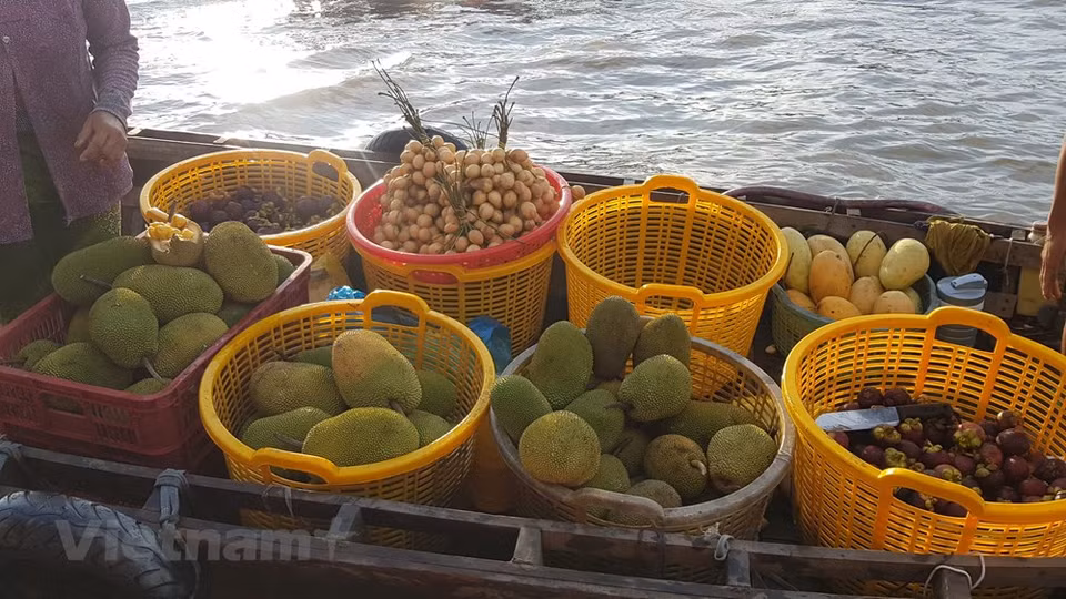 Caractéristiques propres du delta du Mékong, les marchés flottants sont partout sur la terre des neuf dragons. De Sai Gon au cap de Ca Mau, vous trouverez les marchés Cai Be à Tiên Giang, Cai Rang à Cân Tho, Phung Hiêp à Hâu Giang, Nga Nam à Soc Trang, Gành Hào, Thoi Binh à Cà Mau, etc. Un des trois plus grands marchés de la région Sud-Ouest est le marché flottant de Cai Rang, situé à seulement quelques kilomètres de la ville de Can Tho. Il est l'endroit le plus fréquenté et le plus typique de la culture fluviale de la région du Nam Bô occidental. Il vend principalement des produits agricoles typiques venus des provinces avoisinantes. Photo: VietnamPlus