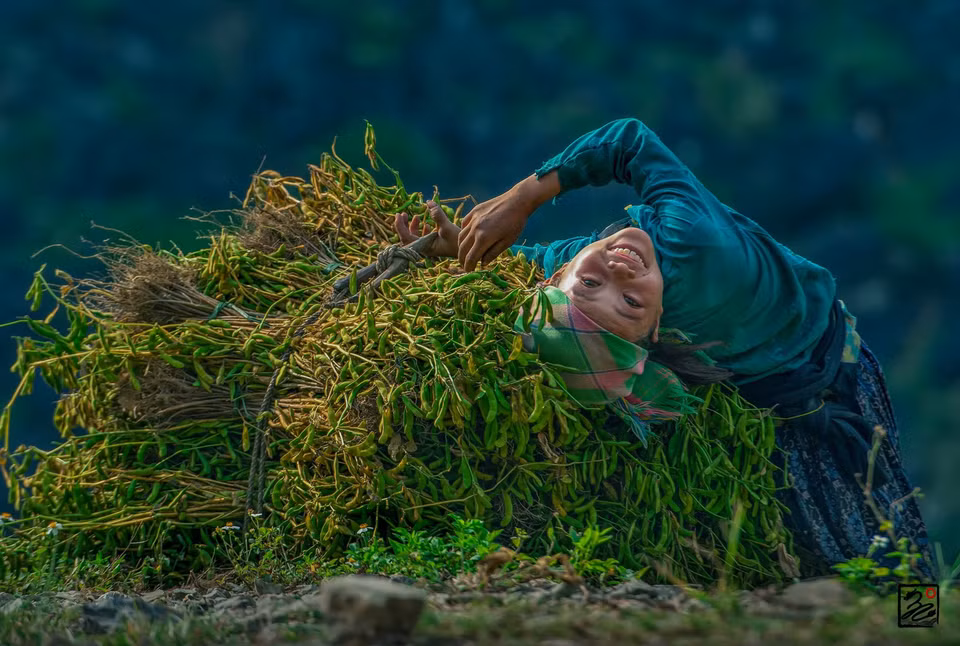  ''Soja!'' de Tran Cao Bao Long. Photo : Comité d’organisation 
