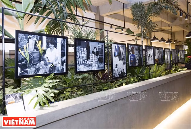 Les photos ont été exposées au Centre d’art Toong Minh Khai, à Ho Chi Minh-Ville. 