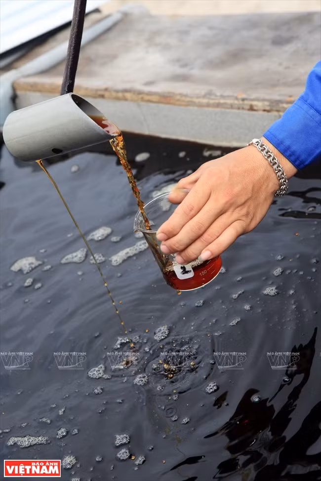 Vérification de la qualité du nuoc mam en fût.
