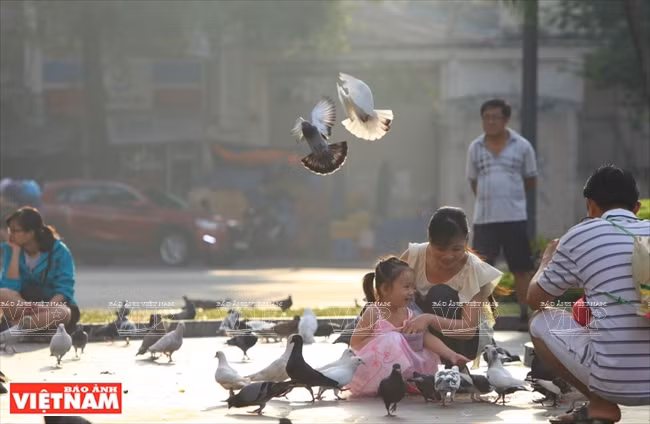 Les enfants aiment nourrir les pigeons, ainsi que les caresser et prendre des photos avec eux.