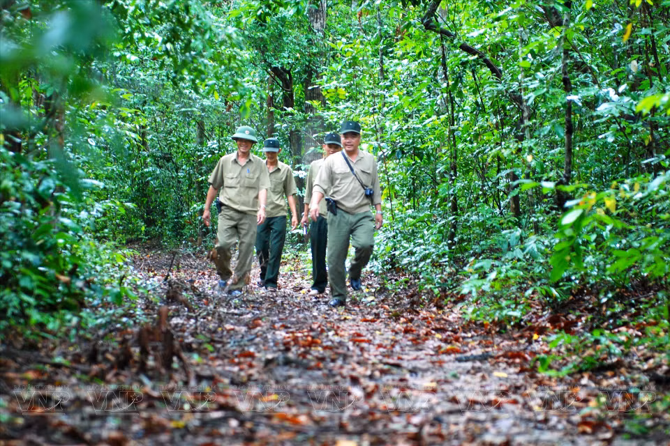 Patrouille des garde-forestiers de la réserve naturelle de Binh Chau - Phuoc Buu. 
