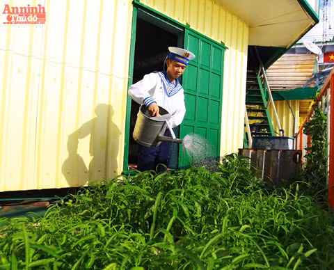 Les soldats de la plate-forme DK1/9 cultivent de petits lopins de terre pour améliorer l'ordinaire.