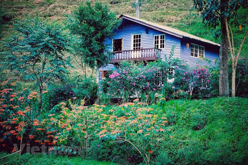 Les visiteurs sont fascinés par les centaines de parfums provenant de différents jardins de fleurs, notamment lys, chrysanthèmes et orchidées. Photo: Vietnam+