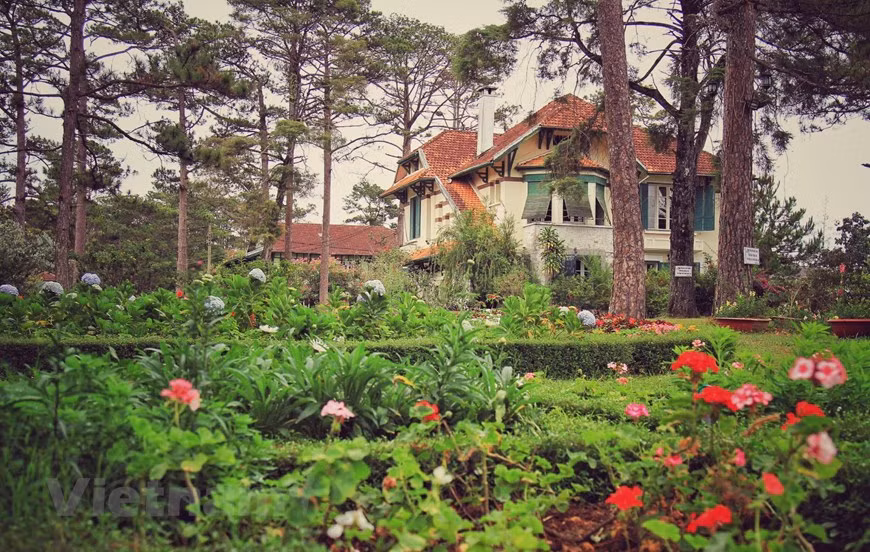 Dans le classement de Booking.com sur les destinations pour admirer des fleurs, la ville de Da Lat (province de Lam Dong dans les Hauts plateaux du Centre) se classe 3e dans le top 10 des noms les plus appréciés des touristes. Photo: Vietnam+