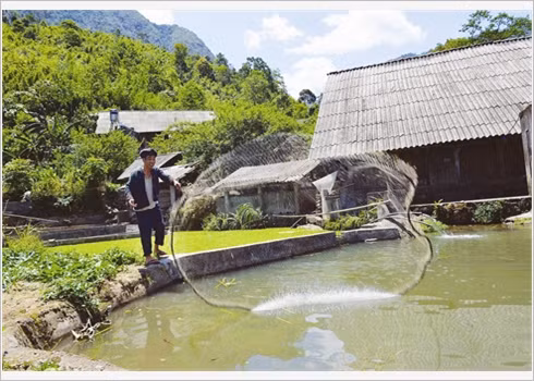 La famille de Phàn Dào Phâu a fait fortune grâce au modèle «Jardinage, pisciculture et élevage».