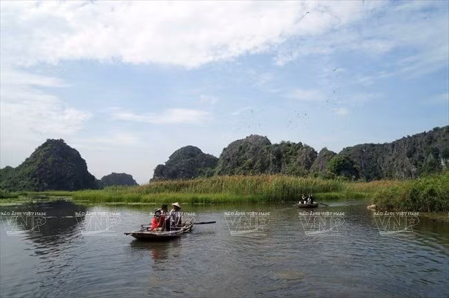 La réserve naturelle de Vân Long s’étend sur plus de 3.000 hectares. Photo : Nguyen Thang/VNA 