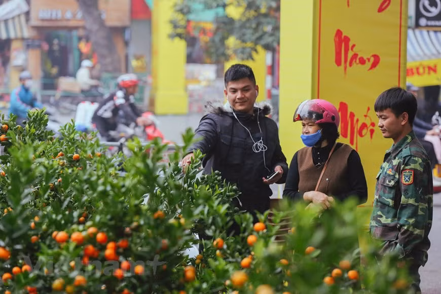  À l’approche du Tet, les rues de Hanoi sont plus animées avec les marchés de fleurs colorées. Ces marchés sont toujours plus fréquentés, plus amusants. Le marché aux fleurs de Hang Luoc est cependant le plus connu pour les habitants dans les vieux quartiers. Pour nous immerger dans cette ambiance festive des Hanoiens, nous avons fait une balade à la découverte de ce marché centaine âge. Chaque habitant consacre son propre temps à préparer le Nouvel An lunaire, en espérant une année bienveillance, une nouvelle année de paix et de chance. La beauté des fleurs et la valeur spirituelle de ce marché séduisent des habitants et des touristes. Photo: Vietnamplus 