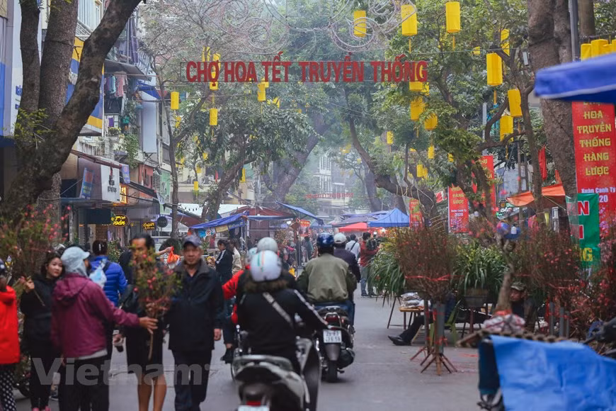  Le 10 janvier, le Comité populaire de l'arrondissement de Hoàn Kiêm, capitale Hanoï, a ouvert le marché aux fleurs de la rue Hang Luoc et diverses activités dans l'espace mural de la rue Phung Hung pour célébrer le Nouvel An lunaire, ou le Têt traditionel. Ici, les clients peuvent non seulement acheter des fleurs et des arbres d'ornement, mais aussi des antiquités et des objets d'occasion, ce qui en fait une adresse populaire parmi les Hanoiens à l’occasion du Têt. Le marché aux fleurs traditionnel du Têt attire une grande foule de locaux et de touristes. Photo: Vietnamplus 