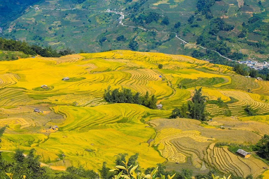 Photo: Vietnam+