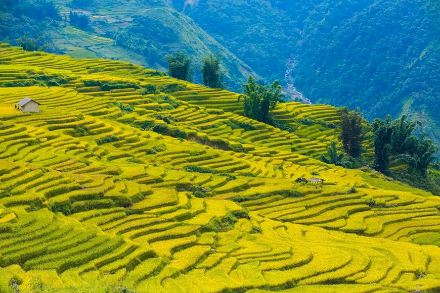 Photo: Vietnam+