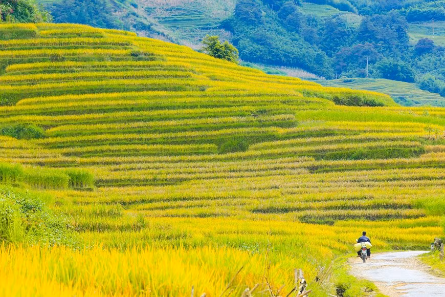 Photo: Vietnam+