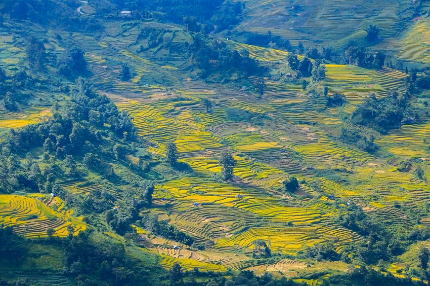 Photo: Vietnam+