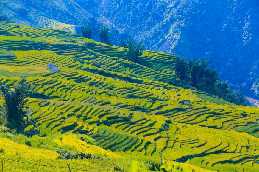Photo: Vietnam+