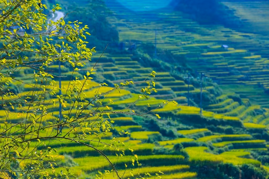 Photo: Vietnam+ 