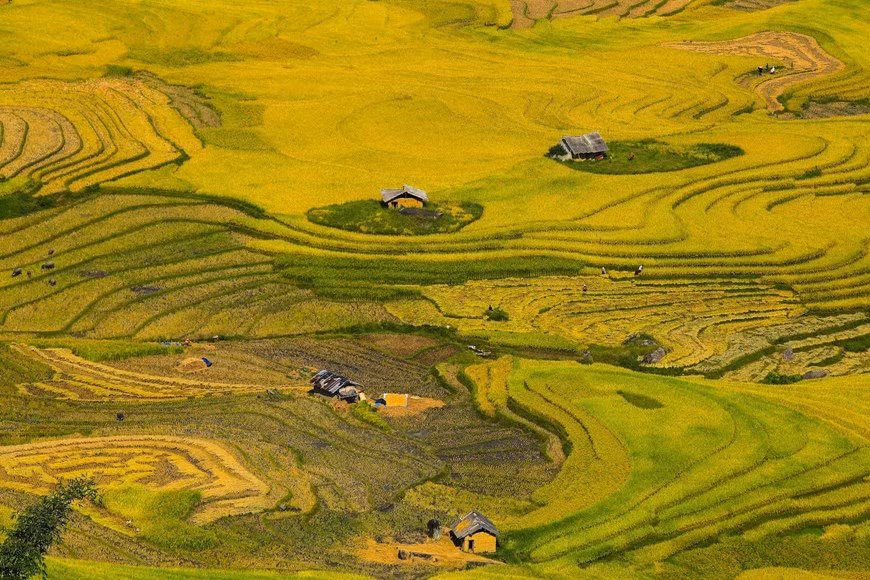 Photo: Vietnam+