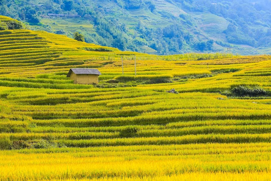 Photo: Vietnam+