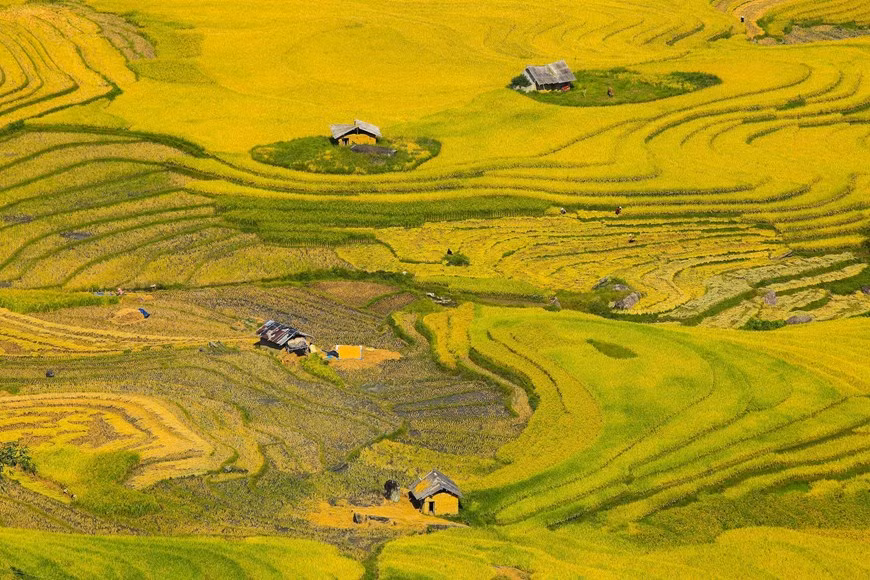 Photo: Vietnam+