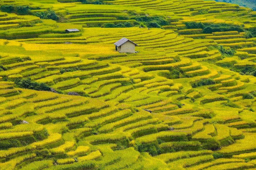 Photo: Vietnam+