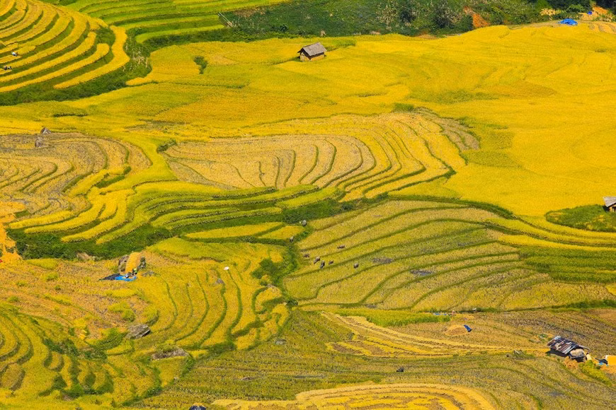 Photo: Vietnam+