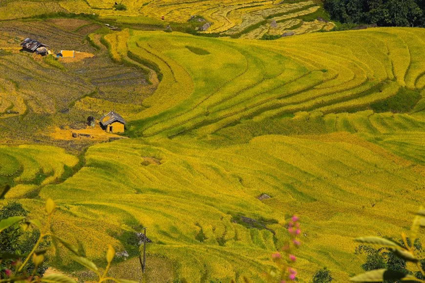 Photo: Vietnam+