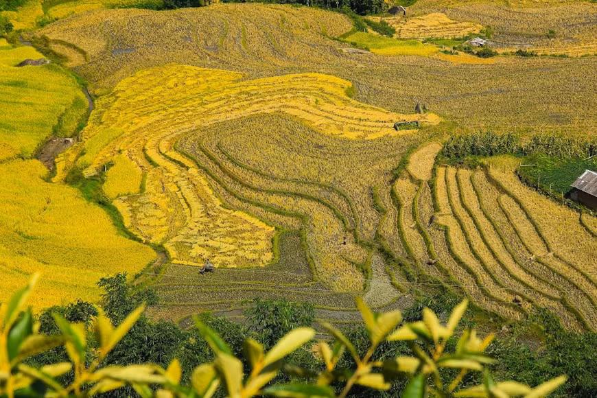 Photo: Vietnam+