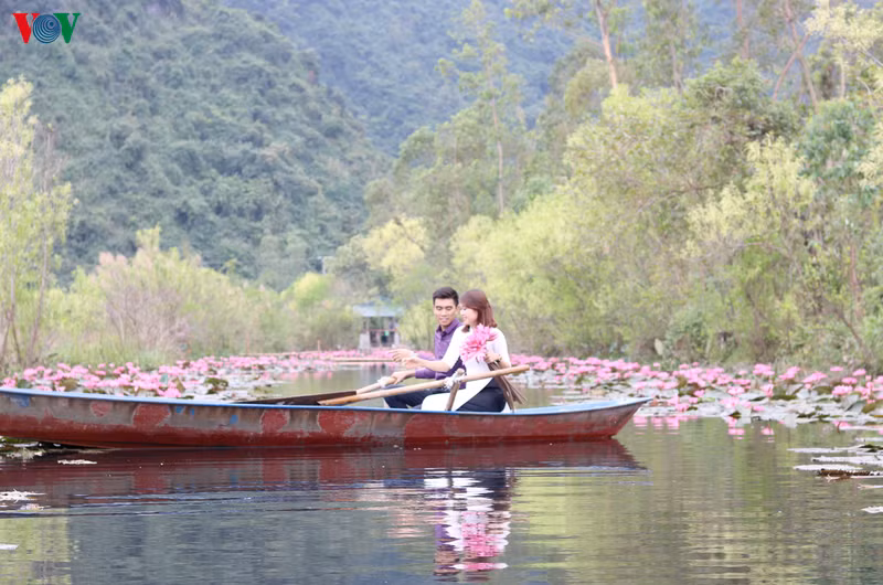 Les nénuphars séduisent de nombreux jeunes. Un grand espace rempli de fleurs est également un endroit idéal pour les couples désireux de faire des photos romantiques.