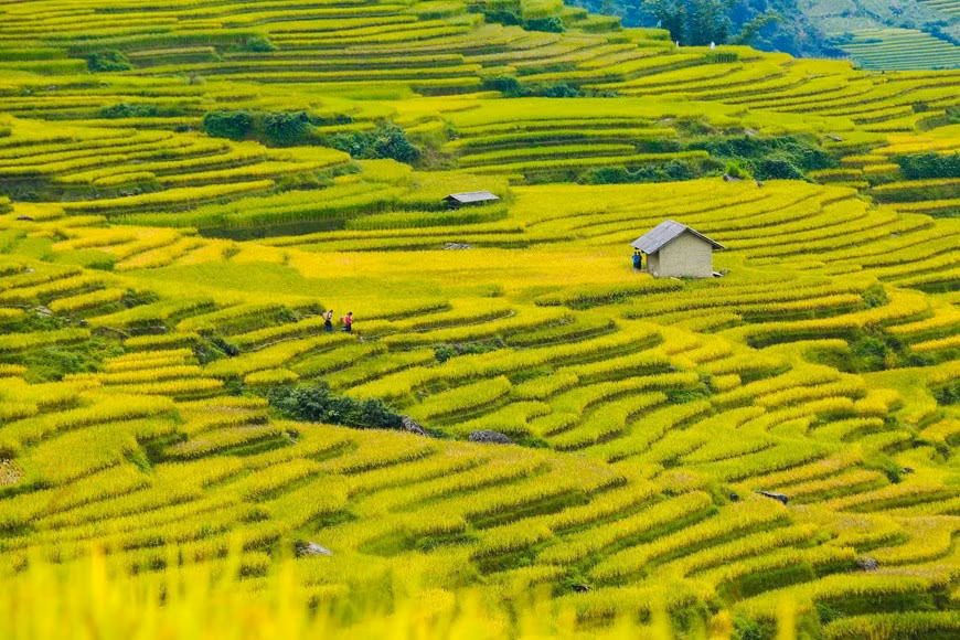 Photo: Vietnam+