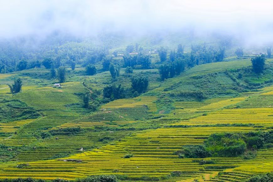 Y Ty attire les voyageurs pour la beauté fantastique de ses paysages souvent dans la brume, ses forêts vierges et ses groupes ethniques bigarrés. Photo: Vietnam+ 