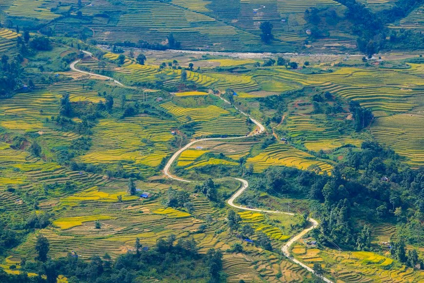 Photo: Vietnam+
