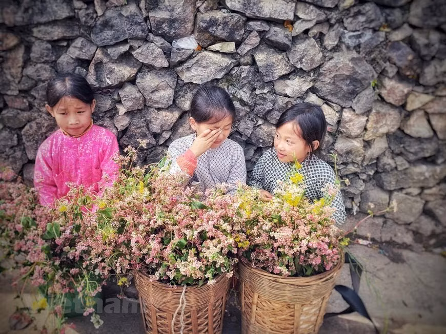 Des enfants ethniques portent des paniers remplis de fleurs de sarrasin 