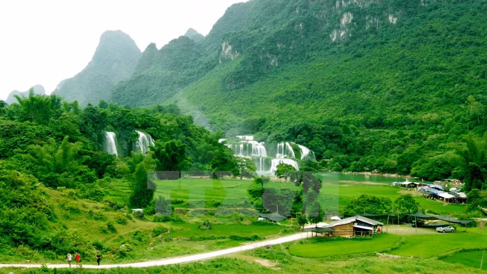 La cascade de Ban Gioc est située dans la commune de Dam Thuy, district de Trung Khanh, province de Cao Bang. Photo : Phuong Hoa/VNA 