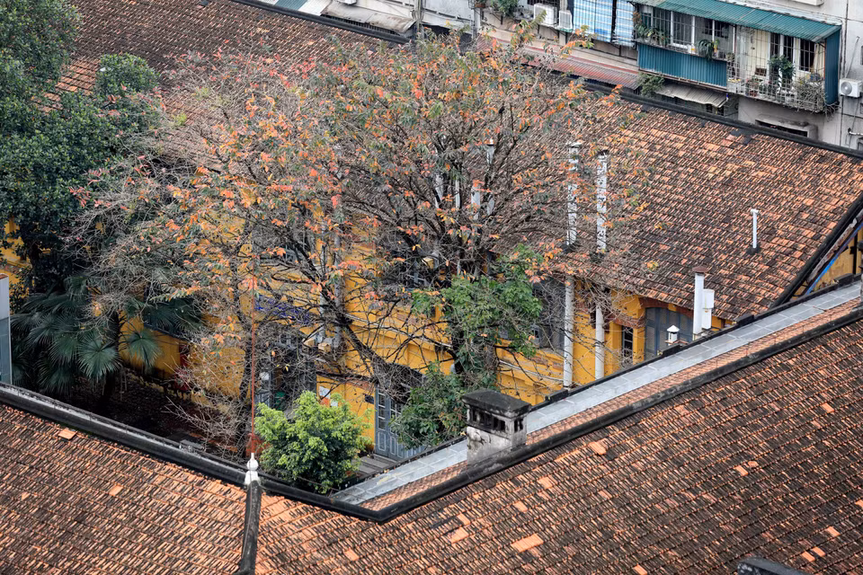 Pendant ces jours, Hanoi a une beauté très douce et tranquille. Photo: VNA
