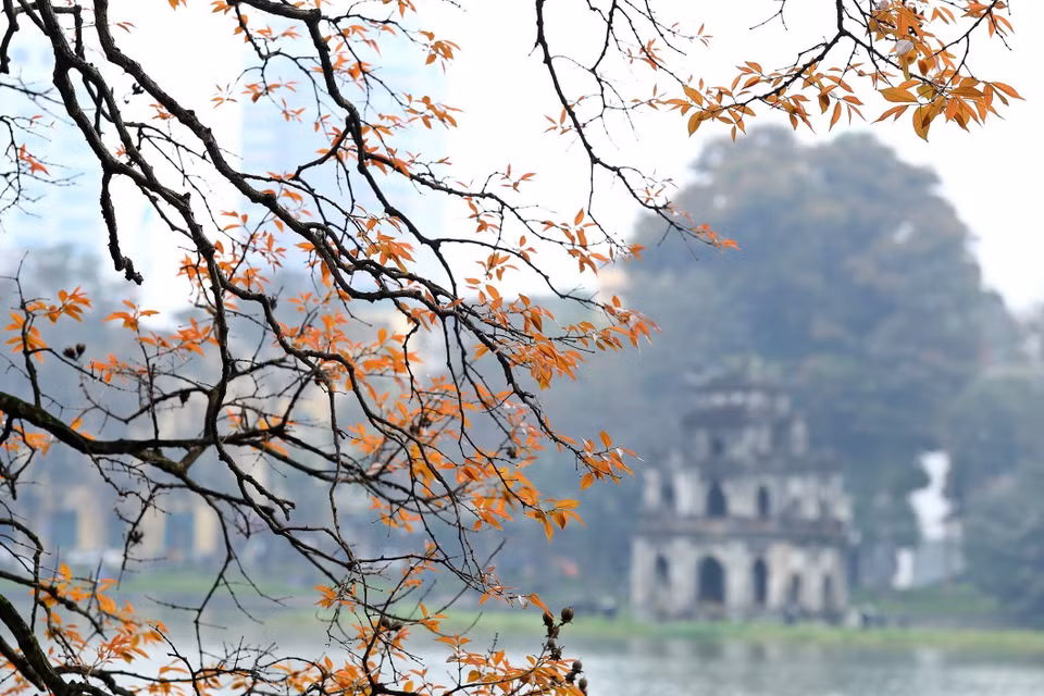 Situé en plein cœur de la capitale vietnamienne, le lac de l'Épée restituée est sans doute la première image que le mot « Hanoi » évoque chez les Hanoiens résidant loin du pays. Il est vrai que ce lac en plein centre de la ville, avec son paysage calme et luxuriant, est un véritable miracle de poésie qui rend Hanoi unique aux yeux des touristes et en fait un lieu particulièrement attachant. Photo: VNA