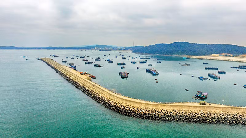  Le village de pêche et le parc logistique de pêche de l'île de Cô Tô. Ici, les visiteurs peuvent découvrir l'exploitation et la transformation des produits de la pêche. 