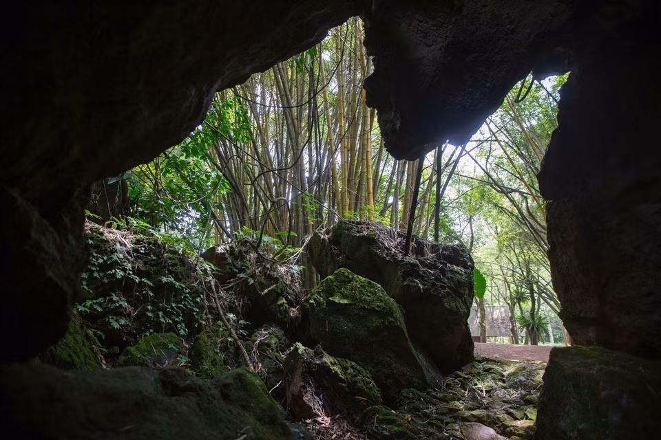  La grotte de Tien Phi est accessible par une étroite crevasse rocheuse qui descend doucement vers l'intérieur. Photo : VNA 