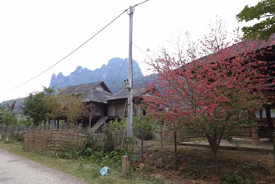  En se dirigeant vers la ''baie'', les visiteurs peuvent admirer des maisons sur pilotis de l'ethnie Thai. Photo : VNA 